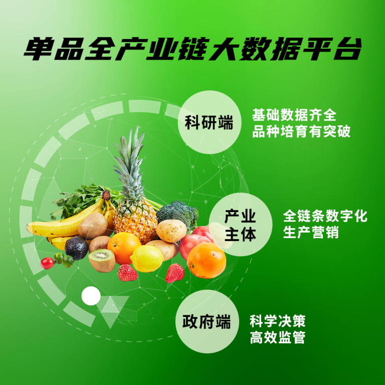 单品全产业链大数据平台建设方案