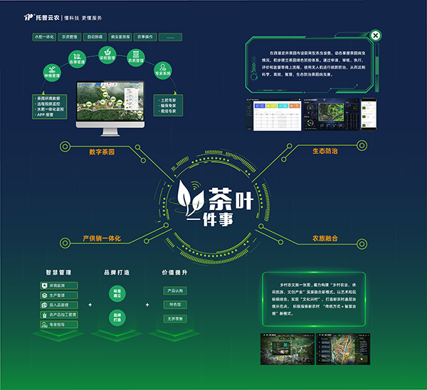 数字茶园：“茶叶一件事”续写中国茶发展新模式