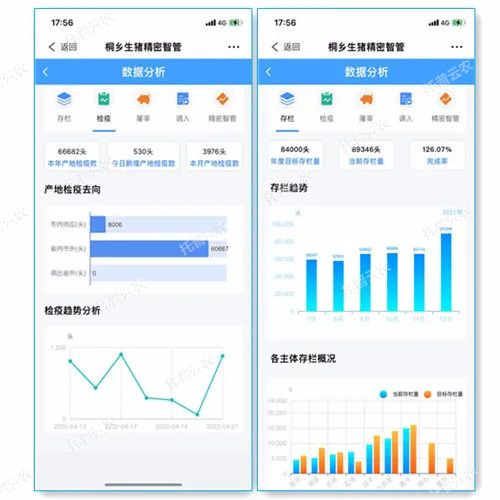 养猪也靠高科技，桐乡生猪产业步入数字化发展跑道