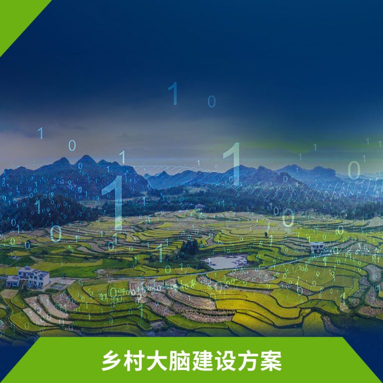 乡村大脑建设方案