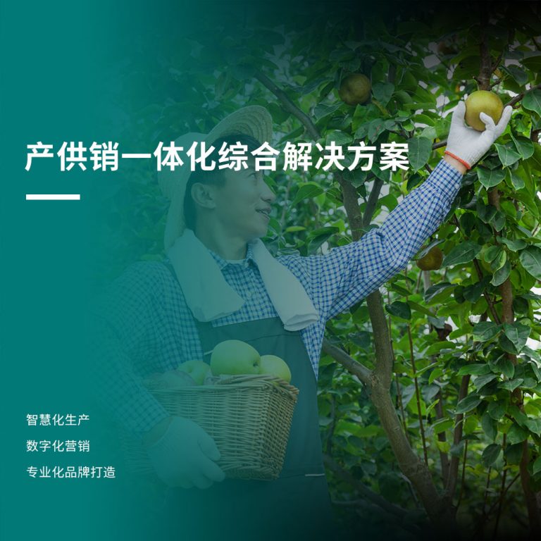 产供销一体化综合解决方案