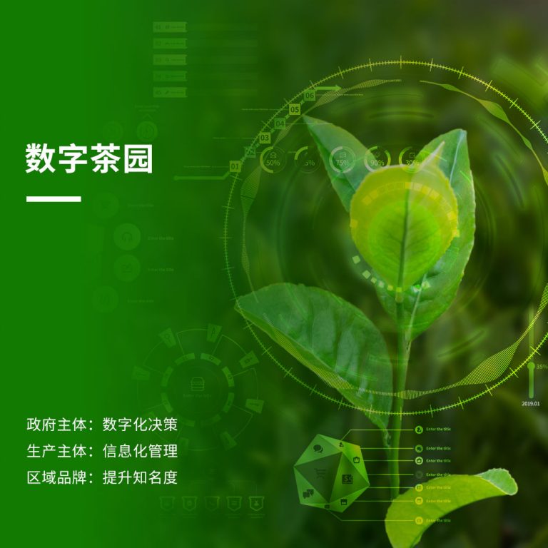 智慧茶园解决方案