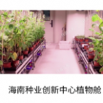 AI植物工厂解决方案