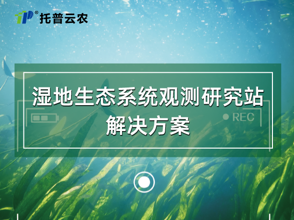 湿地生态系统观测研究站建设方案