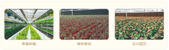 设施农业综合解决方案